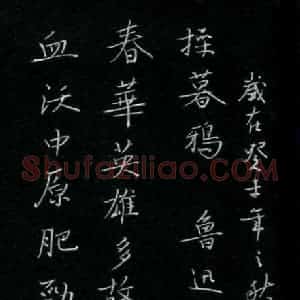 朱勇方 硬笔楷书作品《鲁迅无题诗一首》图片欣赏