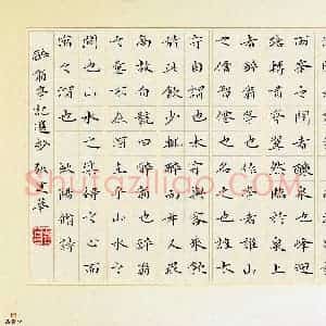 张建华 硬笔楷书作品《醉翁亭记选抄》图片欣赏