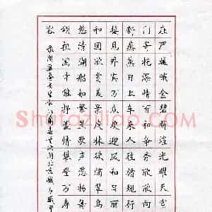 孙廷仁(成人组)硬笔书法大赛 入围作品选登图片欣赏