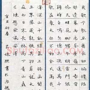 吴姝燃(少儿组 12岁 特等奖)硬笔书法大赛 获奖作品图片欣赏