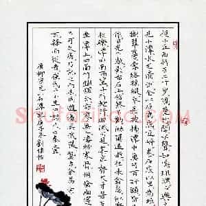 刘佳怡(少儿组 13岁 特等奖)硬笔书法大赛 获奖作品图片欣赏