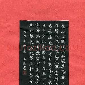 王丹(成人组)硬笔书法大赛 入围作品选登图片欣赏