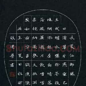 张建华 硬笔楷书作品《杜甫诗夏日》图片欣赏