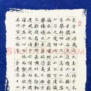 曹庆洋(少儿组 14岁 金奖)硬笔书法大赛 获奖作品图片欣赏