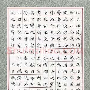 韦莹彩(少儿组 14岁 特等奖)硬笔书法大赛 获奖作品图片欣赏