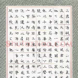 黄峙棕(少儿组 14岁 特等奖)硬笔书法大赛 获奖作品图片欣赏