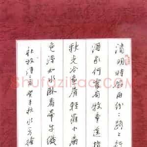 徐勇 硬笔行书作品《杜牧诗三首》图片欣赏