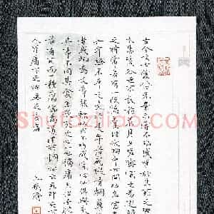 王昕渝(少儿组 16岁 特等奖)硬笔书法大赛 获奖作品图片欣赏