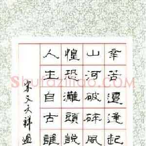 王政 硬笔隶书作品《文天祥诗过零丁洋》图片欣赏
