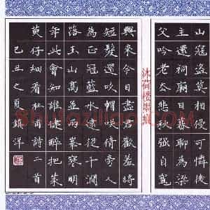 黄镇洋 硬笔楷书作品《杜甫诗二首》图片欣赏
