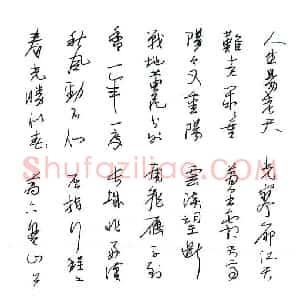 陈碧秋 硬笔行草作品《毛泽东词一首》图片欣赏