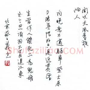 蔡子义 硬笔行书作品《唐宋诗四首》图片欣赏