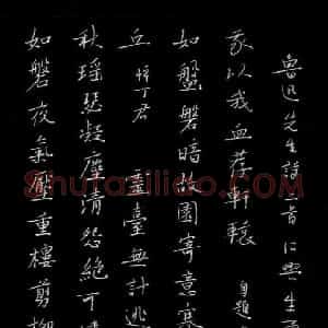 朱勇方 硬笔楷书作品《鲁迅诗二首》图片欣赏