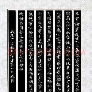 雷忆蕊(少儿组 16岁 金奖)硬笔书法大赛 获奖作品图片欣赏
