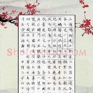 邓阳 硬笔楷书作品《古诗三首》图片欣赏