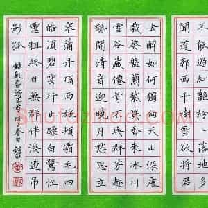 黄镇洋 硬笔楷书作品《题画诗五首》图片欣赏