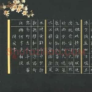 龙开发 硬笔楷书作品《唐诗二首》图片欣赏