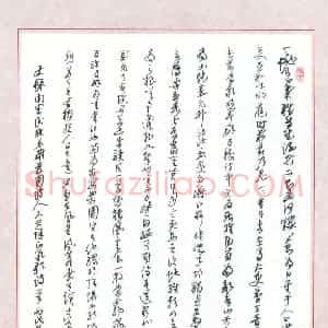汪寅生 硬笔行书作品《文天祥正气歌》图片欣赏