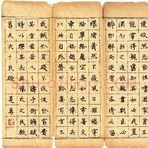 夏勇 硬笔楷书作品《五柳先生传》图片欣赏