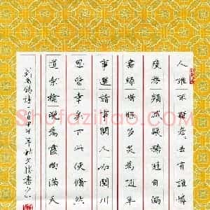 汪文胜(成人组)硬笔书法大赛 入围作品选登图片欣赏