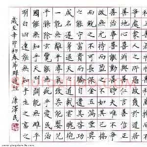 康泽民 硬笔楷书作品《节录道德经》图片欣赏