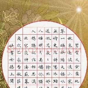 庄婷婷(成人组 优秀奖)硬笔书法大赛 获奖作品图片欣赏
