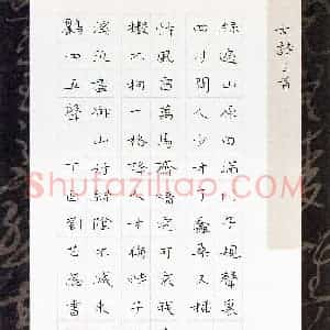 刘芯蕊(少儿组 12岁 金奖)硬笔书法大赛 获奖作品图片欣赏