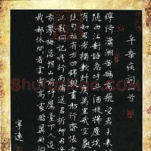 孙兵 硬笔楷书作品《辛弃疾词一首》图片欣赏