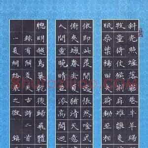 黄镇洋 硬笔楷书作品《录有关夏天古诗二首》图片欣赏