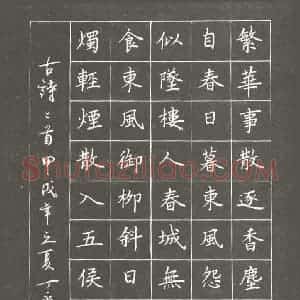 丁永康 硬笔楷书作品《古诗二首》图片欣赏