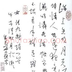 朱玉华 硬笔行草作品《张九龄诗一首》图片欣赏
