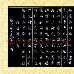 郑富文(少儿组 9岁 金奖)硬笔书法大赛 获奖作品图片欣赏