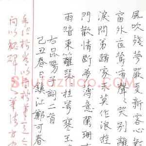 郑可春 硬笔楷书作品《昆阳子词二首》图片欣赏