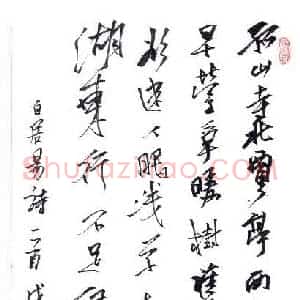 刘东红 硬笔行书作品《白居易诗一首》图片欣赏
