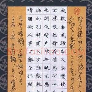 黄镇洋 硬笔楷书作品《苏轼词》图片欣赏
