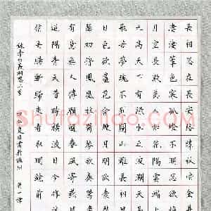 周一伟(成人组)硬笔书法大赛 入围作品选登图片欣赏