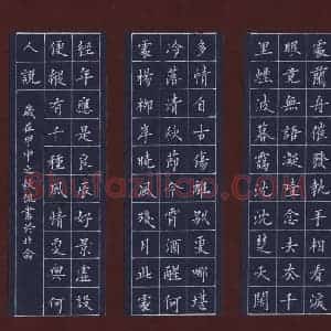 陈侃 硬笔楷书作品《柳永词雨霖铃》图片欣赏