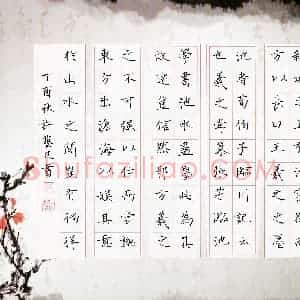 许艺凡(少儿组 15岁 金奖)硬笔书法大赛 获奖作品图片欣赏