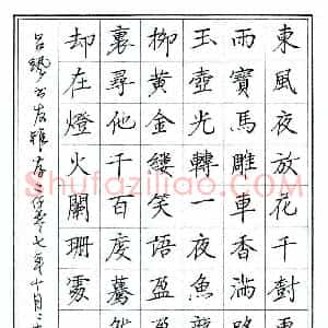 丁永康 硬笔楷书作品《宋词一首》图片欣赏