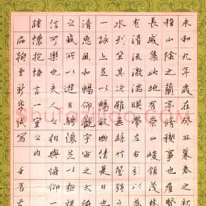刘东红 硬笔行书作品《兰亭序节录》图片欣赏