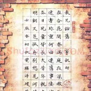 黄镇洋 硬笔楷书作品《窦叔向表兄话旧》图片欣赏