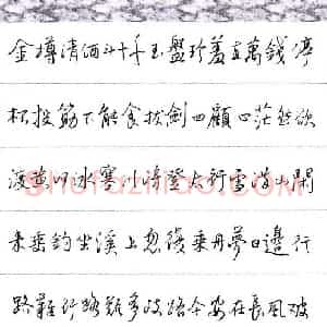 陈舟波 硬笔行书作品《李白诗行路难》图片欣赏