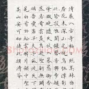 覃志伟(成人组 优秀奖)硬笔书法大赛 获奖作品图片欣赏