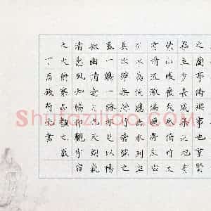 钱荷悦(少儿组 13岁 金奖)硬笔书法大赛 获奖作品图片欣赏