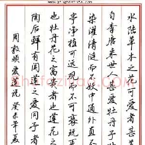 吴玉生 硬笔行楷作品《周敦颐爱莲说》图片欣赏