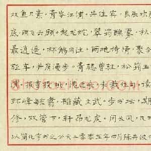 陈舟波 硬笔楷书作品《羽闲词》图片欣赏