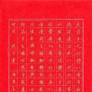 唐晟(成人组)硬笔书法大赛 入围作品选登图片欣赏