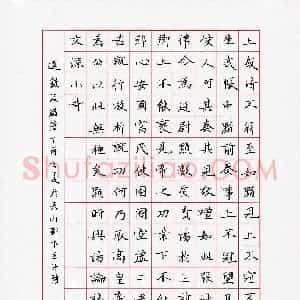 王子琦(少儿组 15岁 金奖)硬笔书法大赛 获奖作品图片欣赏