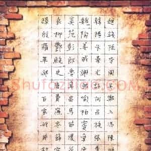 刘东红 硬笔楷书作品《百家姓节录》图片欣赏