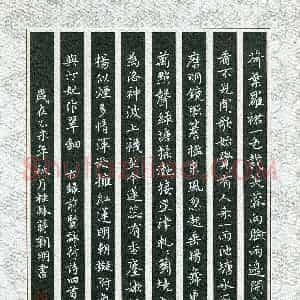 蒋朝明(成人组 优秀奖)硬笔书法大赛 获奖作品图片欣赏